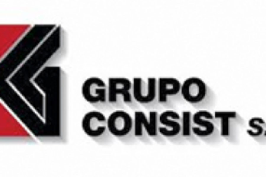 EDARI GRUPO CONSIST