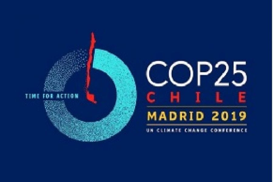 Cumbre del Clima Madrid 2019