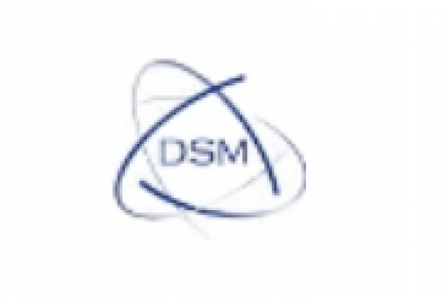 EDARI DSM RESINS